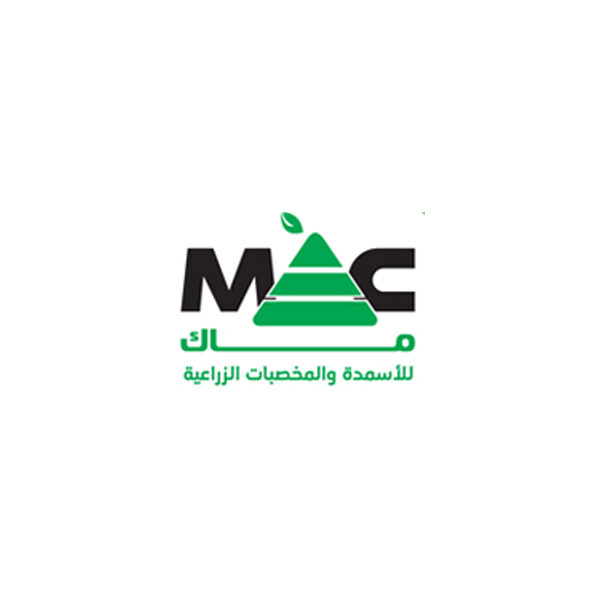 مور اند مور