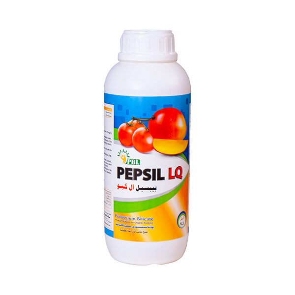 بيبسيل إل كيو