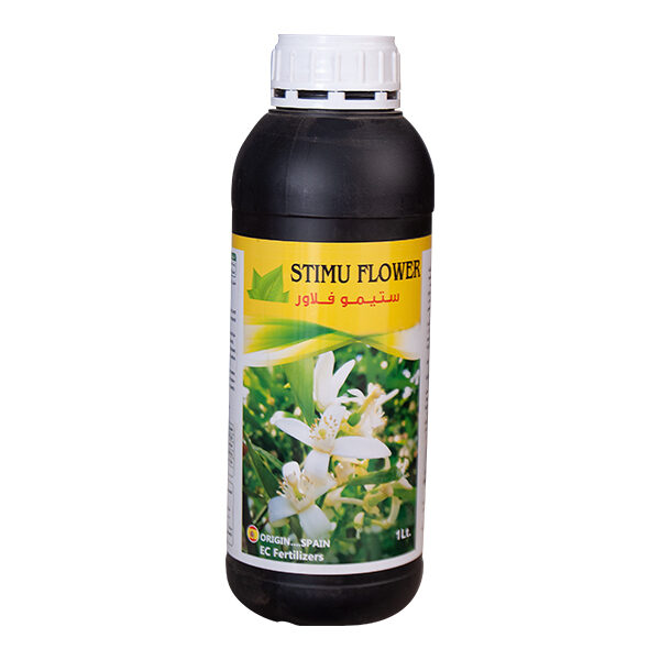 ستيمو فلاور