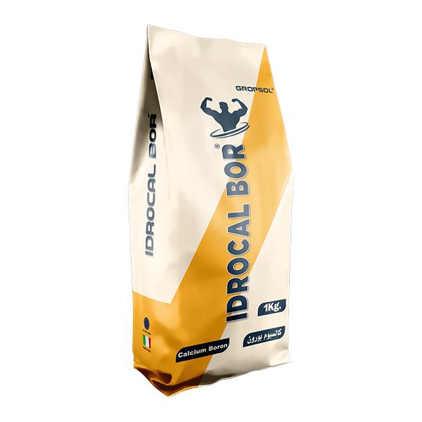 إيدرو كالبور