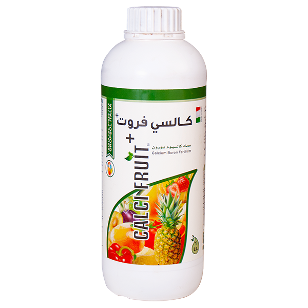 كالسي فروت بلس